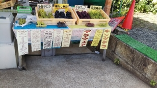 20180818121143509.jpg